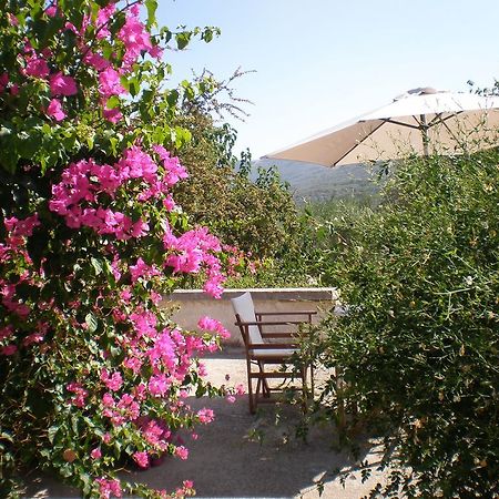 Villa Ouranos Kíssamos Extérieur photo