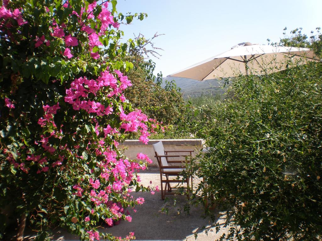 Villa Ouranos Kíssamos Extérieur photo